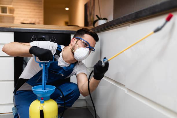 Professional Pest Control in Rural Retreat, VA