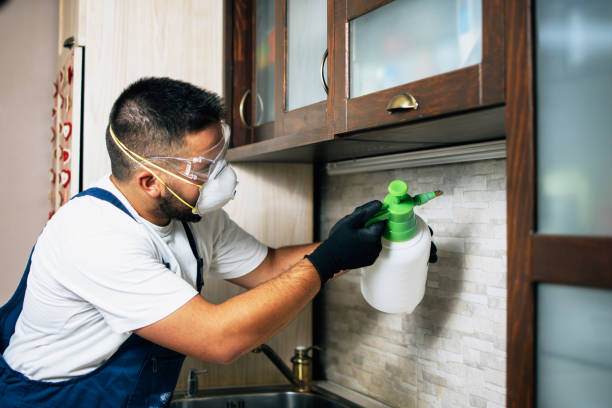 Best Local Pest Control Services  in Rural Retreat, VA