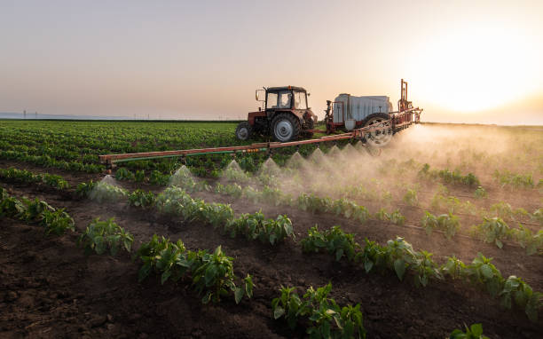 Best Pest Removal Services  in Rural Retreat, VA