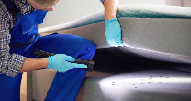 Best Best Pest Control Companies  in Rural Retreat, VA