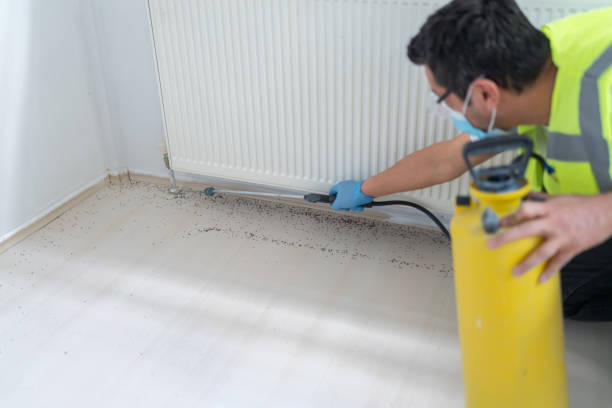 Best Ant Control Services  in Rural Retreat, VA