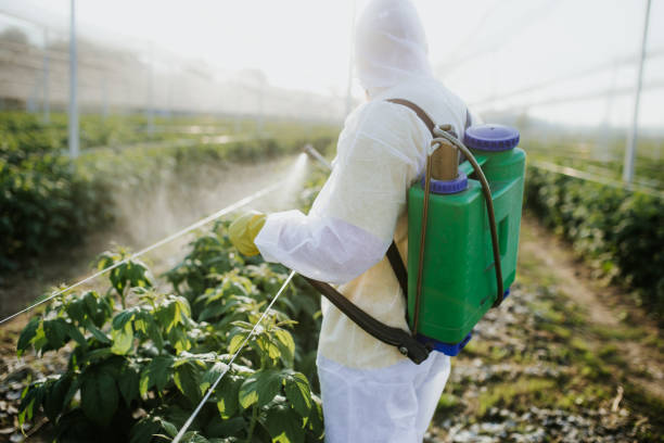Best Commercial Pest Control Services  in Rural Retreat, VA